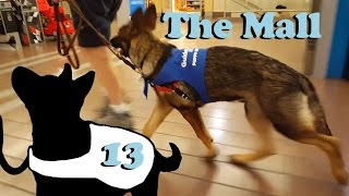 The Mall 2.0 E13