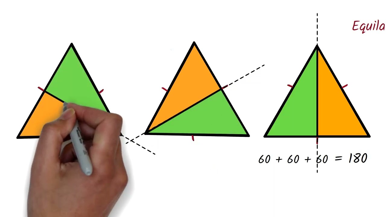 Introduction to the Properties of Triangles
