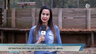 Miniatura do vídeo