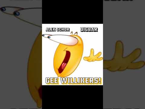 Alex Schor & DigBar- GEE  WILLIKERS!