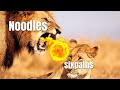 KING of The JUNGLE (Noodles vs Six)