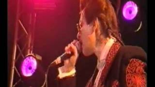 Willy DeVille - Maybe Tomorrow