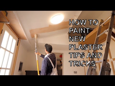 Beginners guide on how to paint over new plaster in 2025.