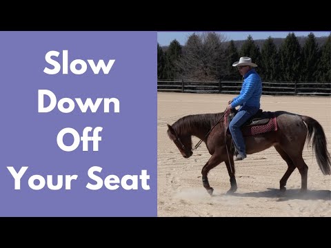 Teach Your Horse to Slow Down Off Your Seat (Episode 251) - Herm Gailey: A Lifetime with Horses