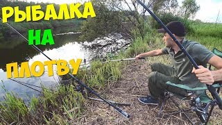 РЫБАЛКА НА САМОПОДСЕКАТЕЛЬ ЛОВЛЯ ПЛОТВЫ ЖАРЮ ПЛОТВУ