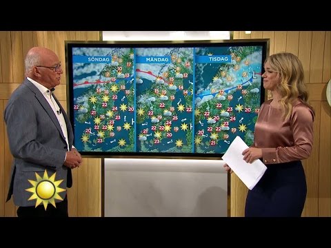 "Det är högsommarvärme" - Nyhetsmorgon (TV4)