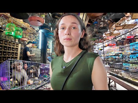 ME INFILTRÉ EN EL MERCADO DE ANIMALES EXÓTICOS MÁS GRANDE DE ASIA