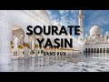 SOURATE YASIN SANS PUB - Mansur Al Salimi