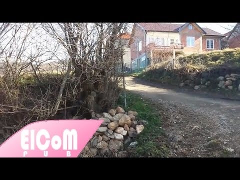 Fshati Shajne - Stress Ohne Grund / Folge 6 (Official Video)