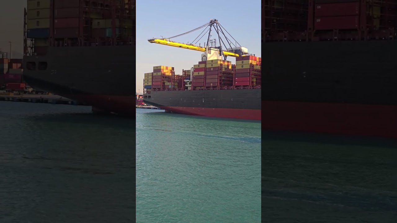 MSC container ship 🚢 #Shipping #Cargo #Logistics #Containers #Maritime