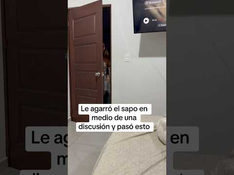 Le agarró el sapo en medio de una discusión, y esto pasó