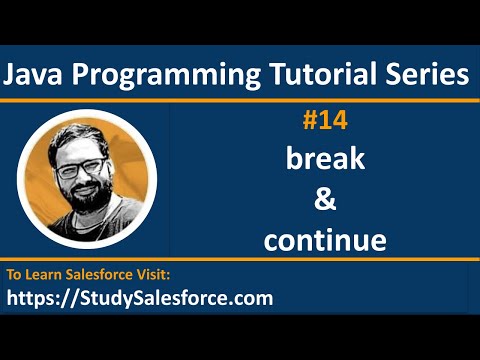 14 Java break, labelled break, continue, labelled continue statements - Learn Java by Sanjay Gupta