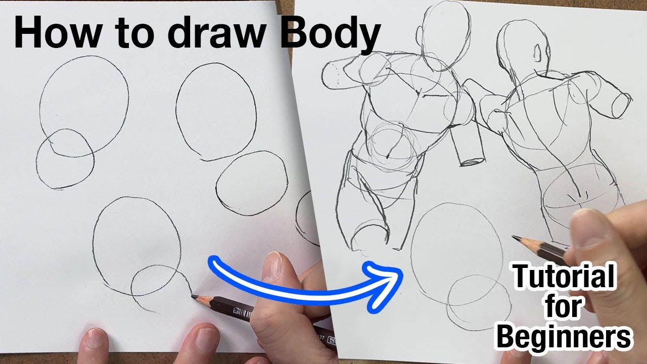 Basic Body Drawing Tutorial for Beginners (Men's body)