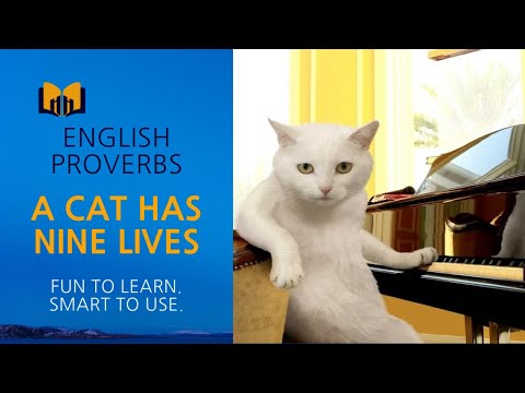 Learn English Proverbs | A cat has nine lives