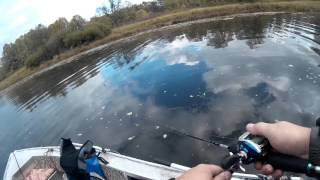 Спиннинги daiwa exceler 802 mhfs