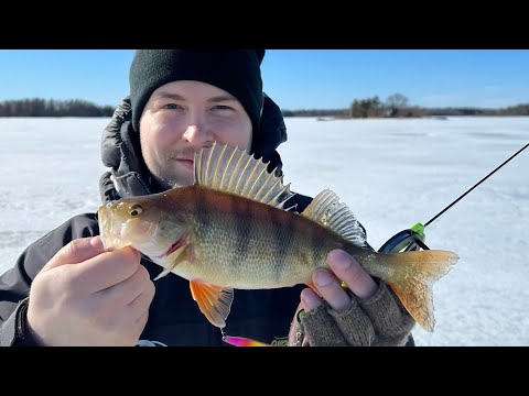 Varovasti viimeisillä jäillä - Ahvenen pilkintää merellä