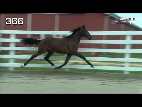 Hip 366 Champagne Room