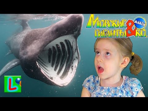 Deagostini МОРСКИЕ ГИГАНТЫ и КО МАКСИ СЛОНОВАЯ АКУУЛА Деагостини распаковка Liska Show