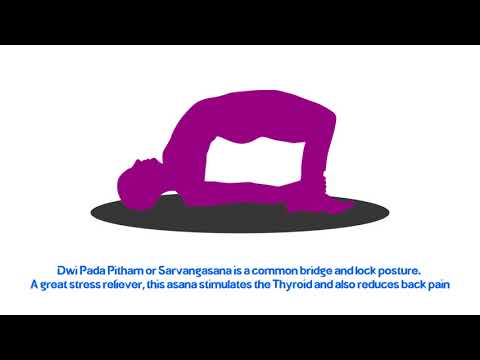 Yoga with Khadi India - Dwi Pada Pitham or Sarvangasana