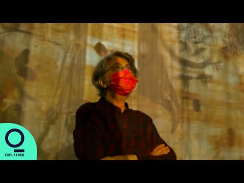 Meet One of India’s Pioneers of Video Art: Nalini Malani