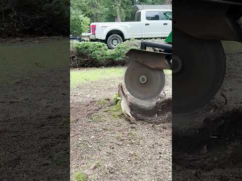 1 Foot Stump Grinding Took Just Two Minutes!