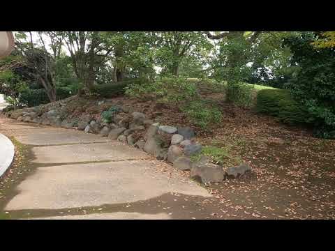 薬学科 キャンパス見学動画④