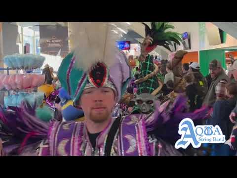 Aqua String Band “Country Roads” - Springfield, MA 2025