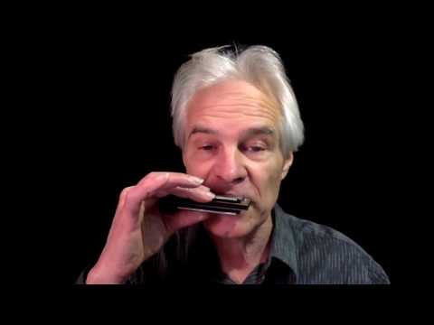 The Filisko Harmonica Tongue Block Trainer