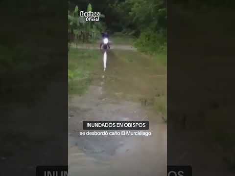 INUNDADOS: En La Colmena, Jobalito, Las Cayenas y La Mathiera de Obispos/#5Jun/Barinas
