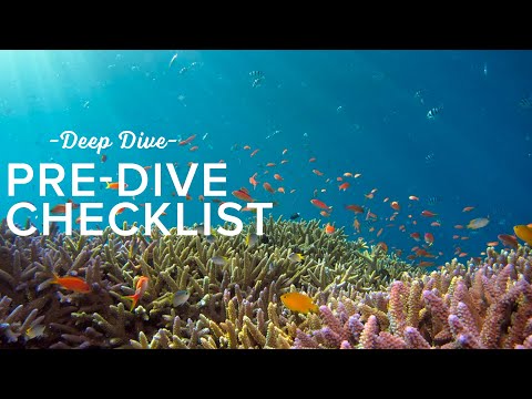 The Pre Dive Checklist | Deep Dive