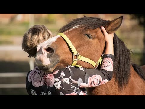 Lorsque les animaux sont amis avec les humains et qu'ils sont mignons, ils montrent leur affection.