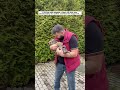 Adopting Abandoned Tiger Cubs Animals Lovestory Wildlife Cute Rescuestory Tiger Wildlife