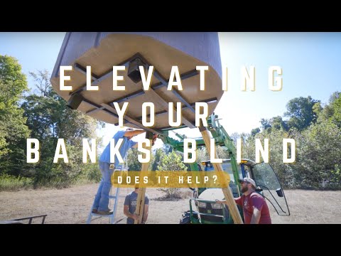 ELEVATING YOUR BANKS BLIND || Does it help?