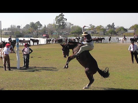 jineteada en Las Achiras