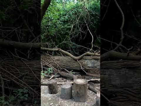 👉 Ecoparque San Fernando: naturaleza a minutos de la ciudad 🌿🐦