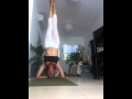 Headstand & pitbulls 