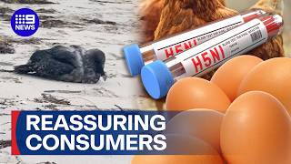 Poultry industry working to reassure consumers over bird flu virus | 9 News Australia