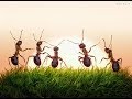 Zindagi Ki Samajh By Sandeep Maheshwari