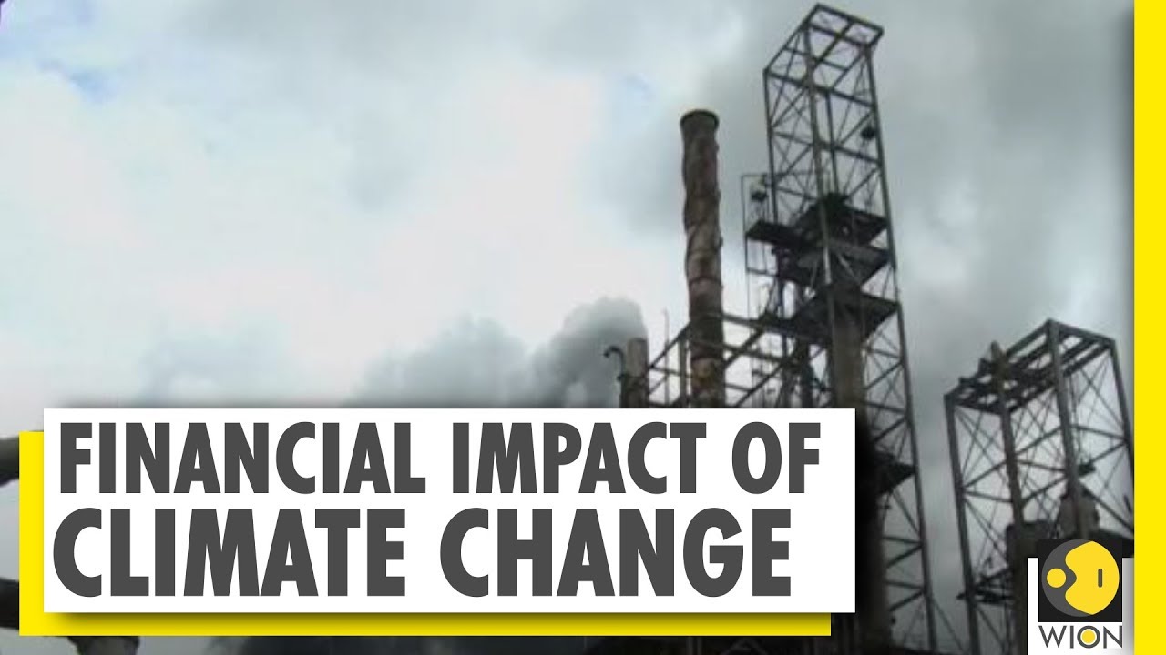 Financial impact of climate change | WION NEWS | World News