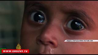 Митинг в поддержку мусульман Мьянмы в Чечне развязал языки всем СМИ