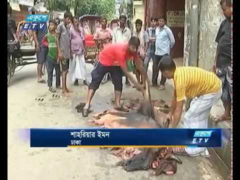 হাজার কোটি টাকার চামড়া নষ্ট
