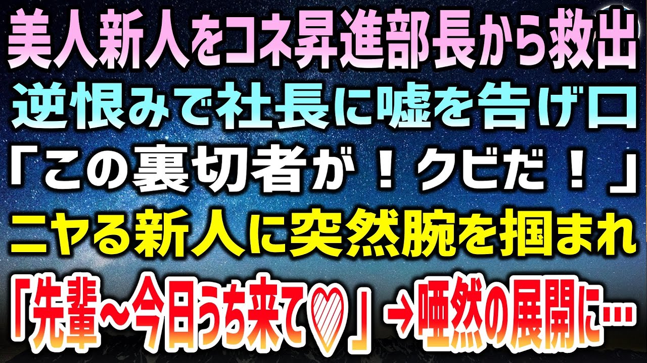 【感動する話】コネ昇進した部長から美人の新人を助けた俺は逆恨みで社長に嘘を告げ口されクビに…ニヤける新人「先輩～今日うちで飲みませんか？♡」→まさかの錚々たる出来事が…【泣ける・いい話】