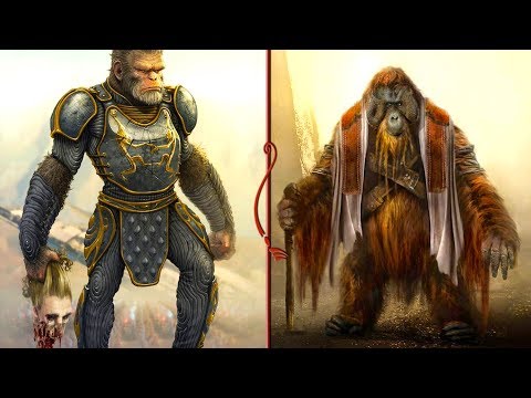 THE IMGA - An Elder Scrolls Secret You May Not Know! (TES Lore)