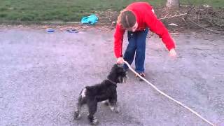 ,,our agility" ,,our agility"