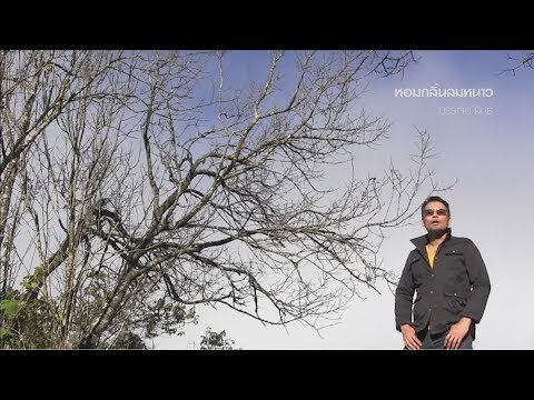 Lyric“หอมกลิ่นลมหนาว (Haum Glin Lom Nao)” by Bancherd Sinthu