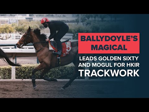 MAGICAL, ADMIRE MARS, GOLDEN SIXTY & MOGUL AT SHA TIN RACECOURSE, HONG KONG | HKIR 2020 HIGHLIGHTS