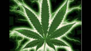 cartel de santa-mobster paradise