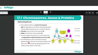 Chromosomes, Genes and Proteins