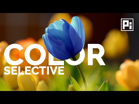 How to Replace Color in Photoshop CC 2017 | Adjust Color Selectively