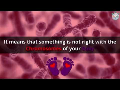 What Things You Should Know at 5th Week of Pregnancy – Part 4